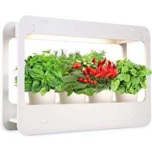 LED Indoor Herb Garden, CRI 95+, Herb Grower Light with Timer, Indoor Gardening
